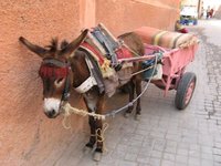 voila la plus belle voiture